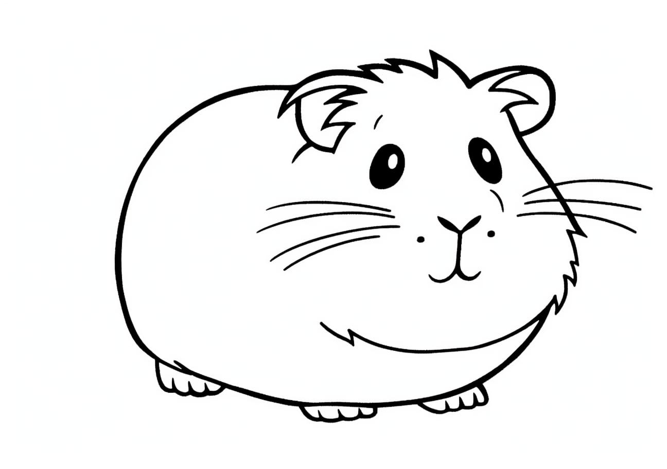 Guinea pig Coloring Pages, cute cartoon guinea pig