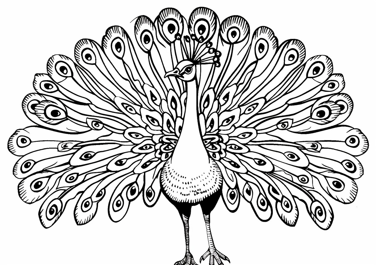 Peacock Coloring Pages, Cartoon peacock