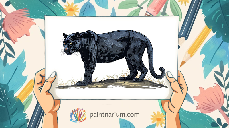 Panther